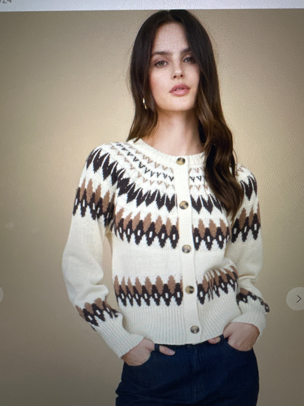 Aspen Fair Isle Cardigan